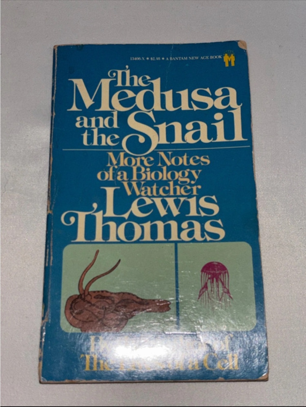 Classic Assorted Paperback Book Stack - Multicolor l - Picture 7 of 9